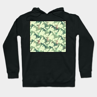 Horse Race Hoodie